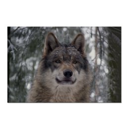 Заказать холст в Москве. Холст 60x90 Волк в лесу от weeert - готовые дизайны и нанесение принтов.