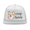 Заказать головной убор в Москве. Кепка тракер с сеткой Corgi Kety family от chiefredactor@yandex.ru - готовые дизайны и нанесение принтов.