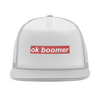 Заказать головной убор в Москве. Кепка тракер с сеткой Ok Boomer от DESIGNER   - готовые дизайны и нанесение принтов.