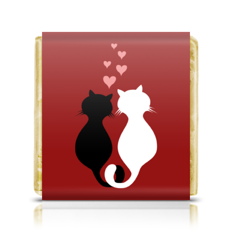 Printio Шоколадка 3,5×3,5 см Кот и кошка
