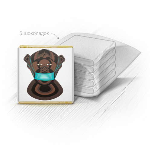 Заказать шоколадные наборы в Москве. Набор шоколадных конфет "Ракушка"  Шимпанзе в маске от Stil na yarkosti - готовые дизайны и нанесение принтов.