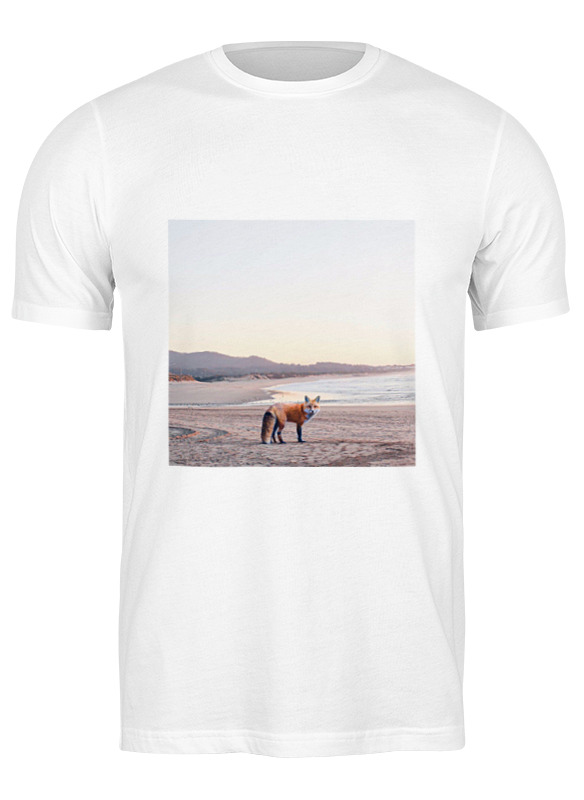 Printio Футболка классическая Без названия