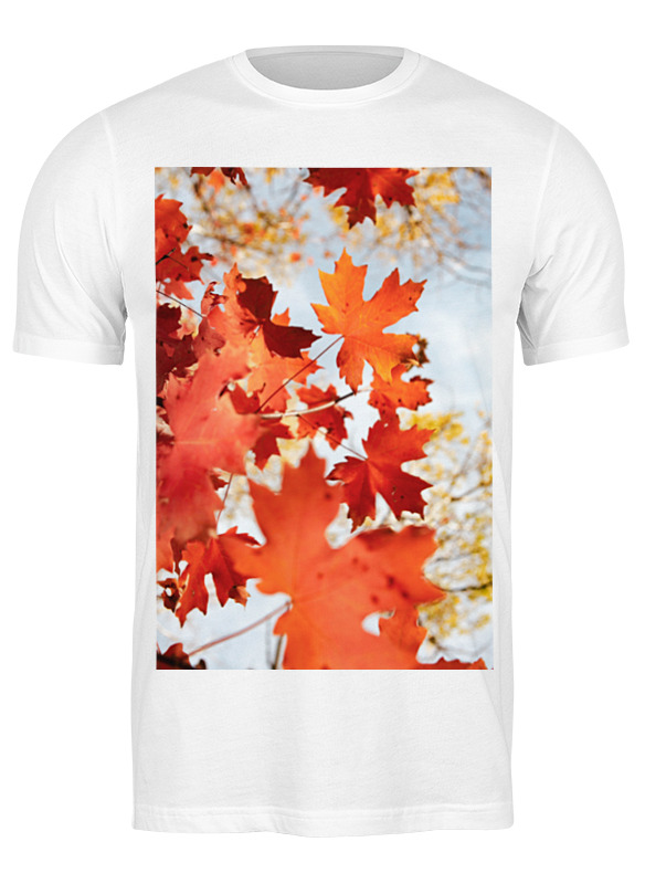 Printio Футболка классическая Осень
