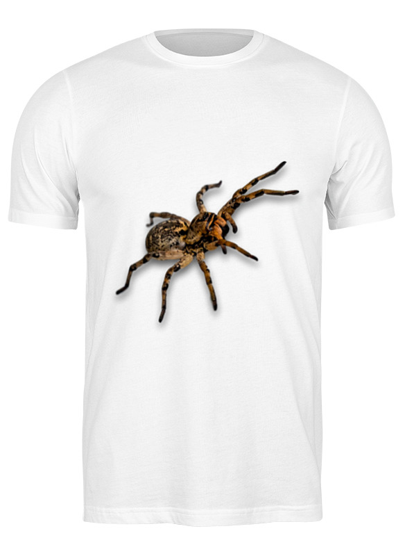 Printio Футболка классическая Паук 3d printio спортивная футболка 3d паук