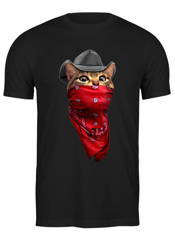 Printio Футболка классическая Разбойник