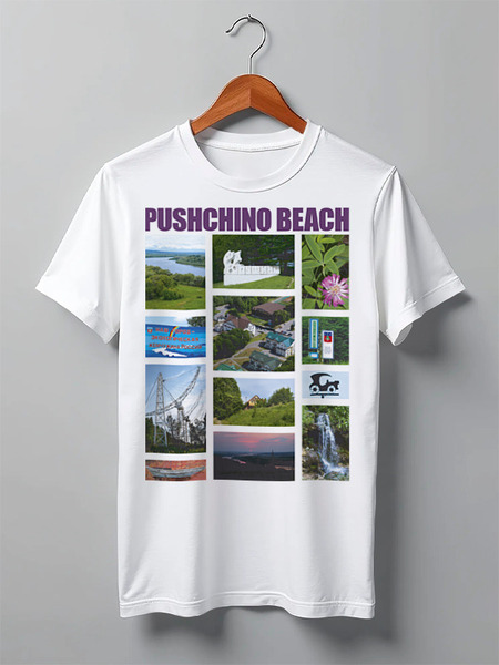 Заказать мужскую футболку в Москве. Футболка классическая Pushchino beach от Andy Quarry - готовые дизайны и нанесение принтов.