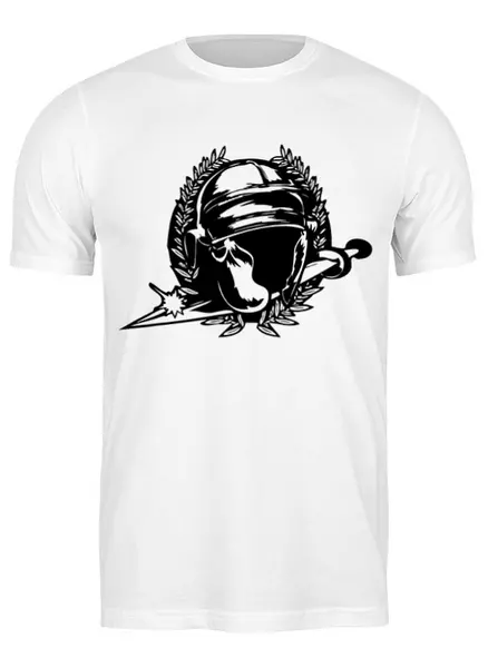 Заказать мужскую футболку в Москве. Футболка классическая Roman Empire от shop-viking - готовые дизайны и нанесение принтов.