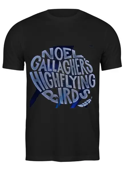 Заказать мужскую футболку в Москве. Футболка классическая Noel Gallagher's High Flying Birds от Денис - готовые дизайны и нанесение принтов.