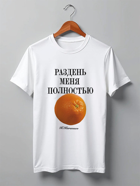 Заказать мужскую футболку в Москве. Футболка классическая Раздень меня Новогодняя от Design Ministry - готовые дизайны и нанесение принтов.