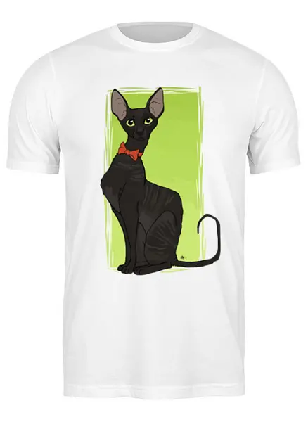 Заказать мужскую футболку в Москве. Футболка классическая Чёрная кошка от fanart - готовые дизайны и нанесение принтов.