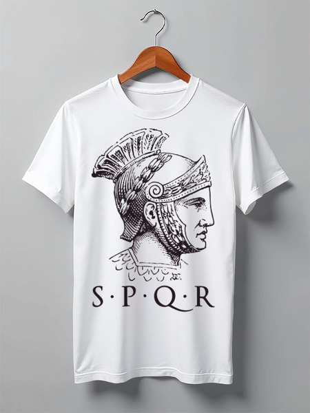 Заказать мужскую футболку в Москве. Футболка классическая SPRQ: Legion от shop-viking - готовые дизайны и нанесение принтов.