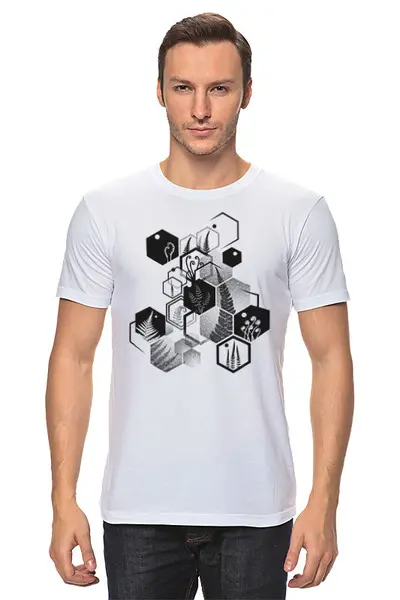 Заказать мужскую футболку в Москве. Футболка классическая Hexagon Ferns от oneredfoxstore@gmail.com - готовые дизайны и нанесение принтов.