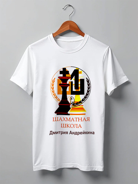 Заказать мужскую футболку в Москве. Футболка классическая Школа Андрейкина от Vladimir Fomin - готовые дизайны и нанесение принтов.