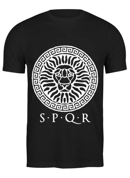 Заказать мужскую футболку в Москве. Футболка классическая SPRQ: Спорт от shop-viking - готовые дизайны и нанесение принтов.