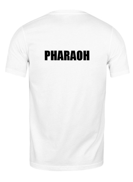 Заказать мужскую футболку в Москве. Футболка классическая Pharaoh от Ivan Gorshkov - готовые дизайны и нанесение принтов.