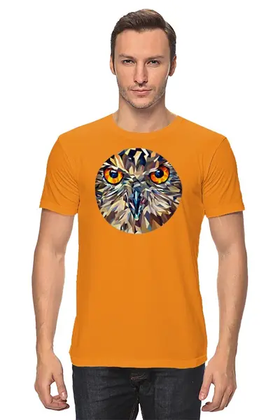 Заказать мужскую футболку в Москве. Футболка классическая Fantastical owl от alexru - готовые дизайны и нанесение принтов.