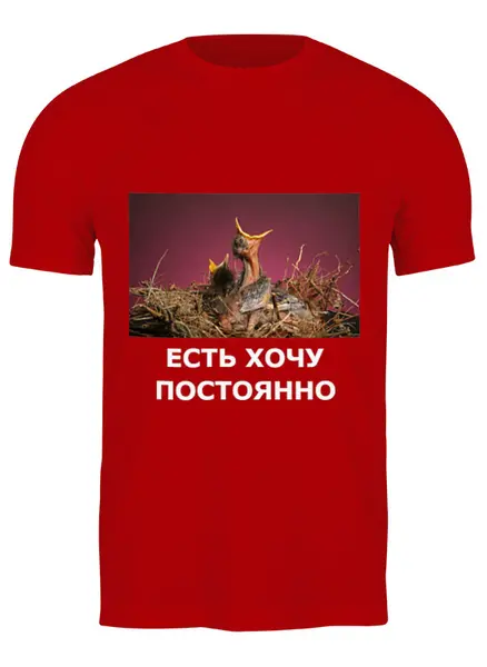 Заказать мужскую футболку в Москве. Футболка классическая Есть хочу постоянно от Виктор Гришин - готовые дизайны и нанесение принтов.