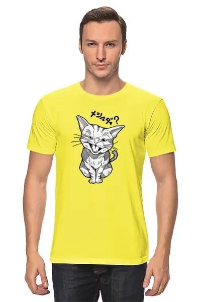 Заказать мужскую футболку в Москве. Футболка классическая Смешной котик от ПРИНТЫ ПЕЧАТЬ  - готовые дизайны и нанесение принтов.