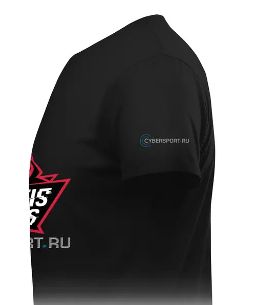 Заказать мужскую футболку в Москве. Футболка классическая VAEVICTIS ESPORTS от robus - готовые дизайны и нанесение принтов.
