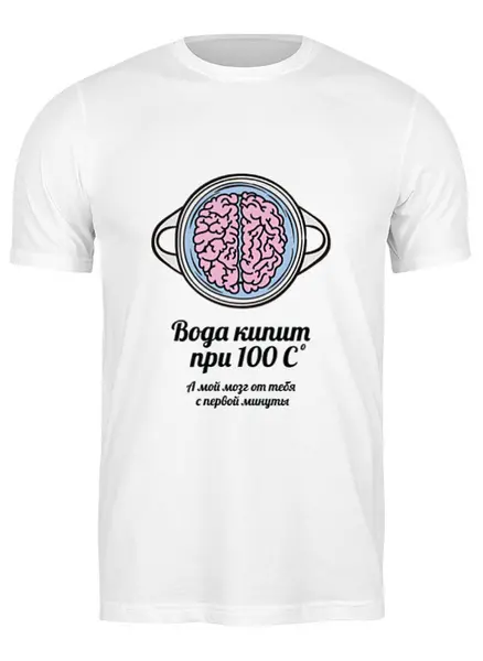 Заказать мужскую футболку в Москве. Футболка классическая Вода кипит при 100C. А мой мозг от тебя от zen4@bk.ru - готовые дизайны и нанесение принтов.
