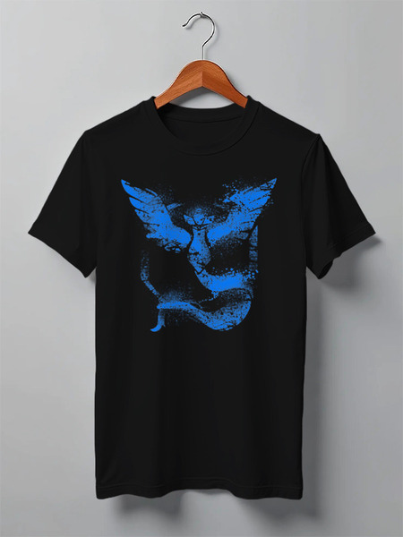 Заказать мужскую футболку в Москве. Футболка классическая Team Mystic от printik - готовые дизайны и нанесение принтов.