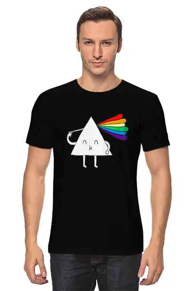 Заказать мужскую футболку в Москве. Футболка классическая Pink Floyd от dizer - готовые дизайны и нанесение принтов.