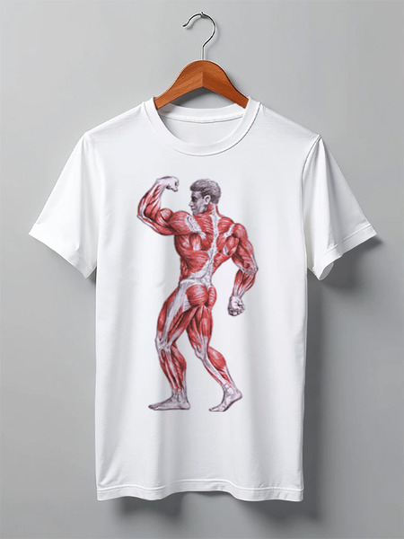 Заказать мужскую футболку в Москве. Футболка классическая BodyBuilding от sergey_n - готовые дизайны и нанесение принтов.