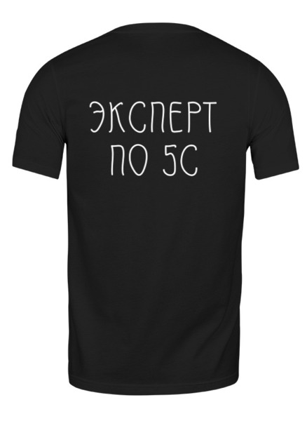 Заказать мужскую футболку в Москве. Футболка классическая Эксперт по 5с. Надпись сзади. от Виктория Володина - готовые дизайны и нанесение принтов.