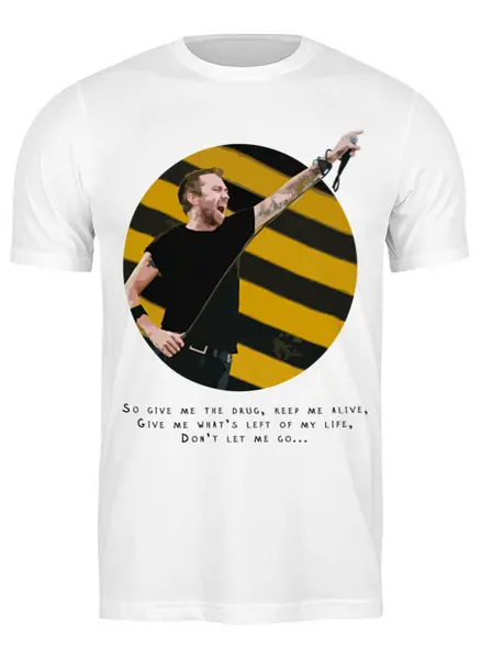 Заказать мужскую футболку в Москве. Футболка классическая Rise Against от Just Paul - готовые дизайны и нанесение принтов.