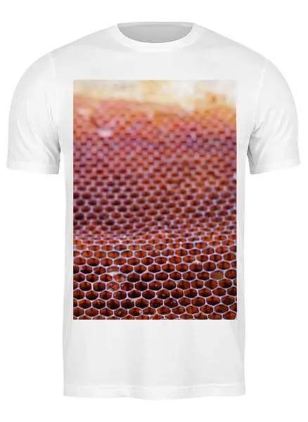 Заказать мужскую футболку в Москве. Футболка классическая  Пчеловод  от blagoflow@ya.ru - готовые дизайны и нанесение принтов.