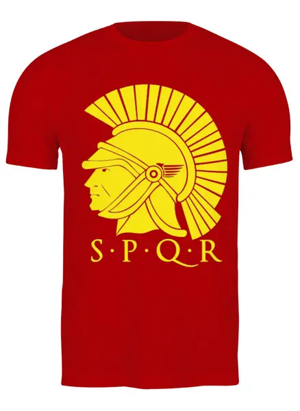 Заказать мужскую футболку в Москве. Футболка классическая SPQR: Сенат и народ Рима от shop-viking - готовые дизайны и нанесение принтов.