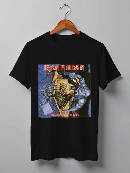 Заказать мужскую футболку в Москве. Футболка классическая Iron Maiden от Fedor - готовые дизайны и нанесение принтов.