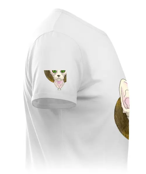 Заказать мужскую футболку в Москве. Футболка классическая Holy Sphinx от d_ari.design@mail.ru - готовые дизайны и нанесение принтов.