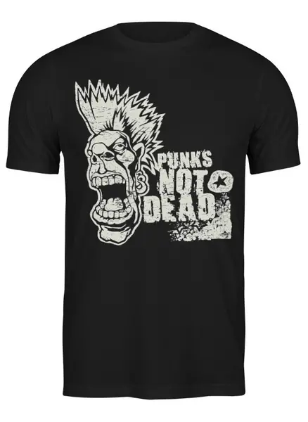 Заказать мужскую футболку в Москве. Футболка классическая Punks Not Dead от Leichenwagen - готовые дизайны и нанесение принтов.
