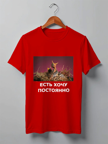 Заказать мужскую футболку в Москве. Футболка классическая Есть хочу постоянно от Виктор Гришин - готовые дизайны и нанесение принтов.
