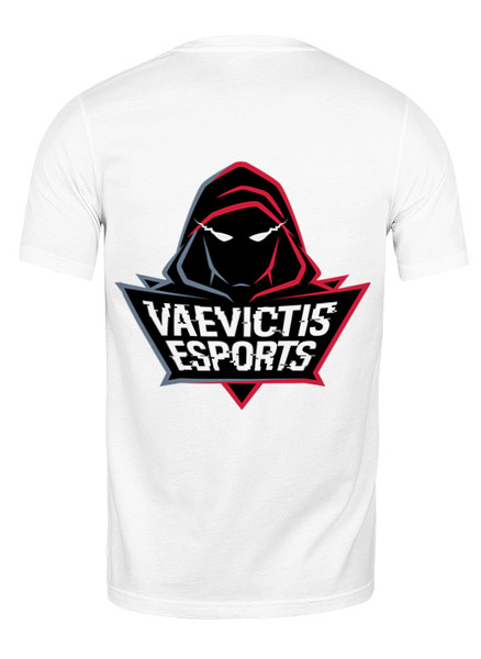 Заказать мужскую футболку в Москве. Футболка классическая VAEVICTIS ESPORTS от robus - готовые дизайны и нанесение принтов.