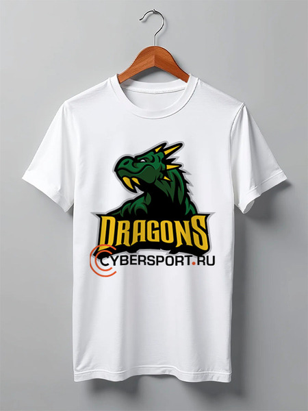 Заказать мужскую футболку в Москве. Футболка классическая DRAGONS от robus - готовые дизайны и нанесение принтов.