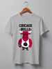 Заказать мужскую футболку в Москве. Футболка классическая Chicago Bulls от dizer - готовые дизайны и нанесение принтов.