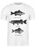 Заказать мужскую футболку в Москве. Футболка классическая Коллекция рыб от printik - готовые дизайны и нанесение принтов.
