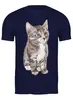 Заказать мужскую футболку в Москве. Футболка классическая Cats Here от oneredfoxstore@gmail.com - готовые дизайны и нанесение принтов.