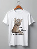 Заказать мужскую футболку в Москве. Футболка классическая Now meow I’m the queen от lementaart@gmail.com - готовые дизайны и нанесение принтов.