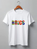Заказать мужскую футболку в Москве. Футболка классическая BRICS - БРИКС от trend - готовые дизайны и нанесение принтов.