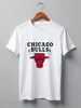 Заказать мужскую футболку в Москве. Футболка классическая Chicago Bulls от BURNSHIRTS - готовые дизайны и нанесение принтов.