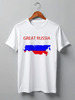 Заказать мужскую футболку в Москве. Футболка классическая Great Russia 9 от Great Russia - готовые дизайны и нанесение принтов.