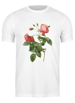 Заказать мужскую футболку в Москве. Футболка классическая Розовые розы от Виктор Гришин - готовые дизайны и нанесение принтов.