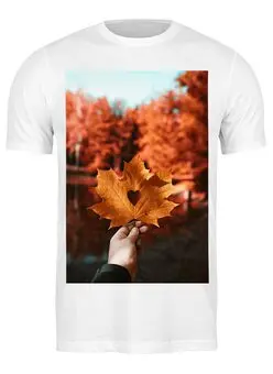 Заказать мужскую футболку в Москве. Футболка классическая Осень от FireFoxa - готовые дизайны и нанесение принтов.