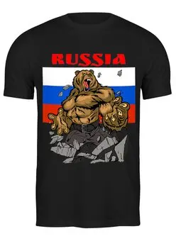 Заказать мужскую футболку в Москве. Футболка классическая Россия от T-shirt print  - готовые дизайны и нанесение принтов.