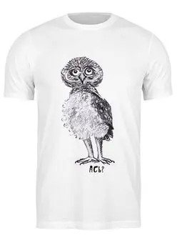 Заказать мужскую футболку в Москве. Футболка классическая Забавная сова от tanashtanko@yandex.ru - готовые дизайны и нанесение принтов.