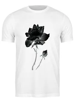 Заказать мужскую футболку в Москве. Футболка классическая Черная роза от queen  - готовые дизайны и нанесение принтов.