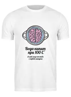 Заказать мужскую футболку в Москве. Футболка классическая Вода кипит при 100C. А мой мозг от тебя от zen4@bk.ru - готовые дизайны и нанесение принтов.